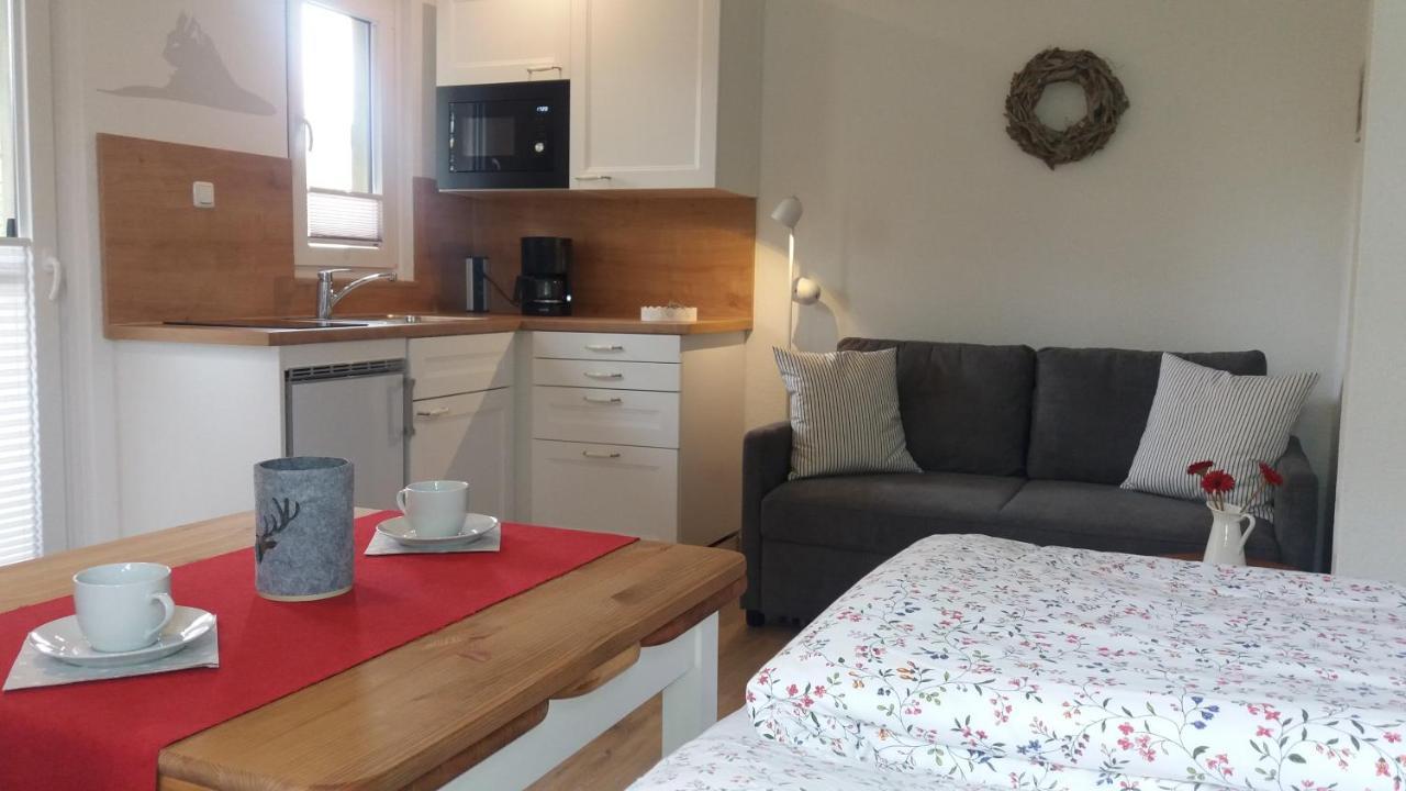 Appartement An Der Radau 巴特哈尔茨堡 外观 照片